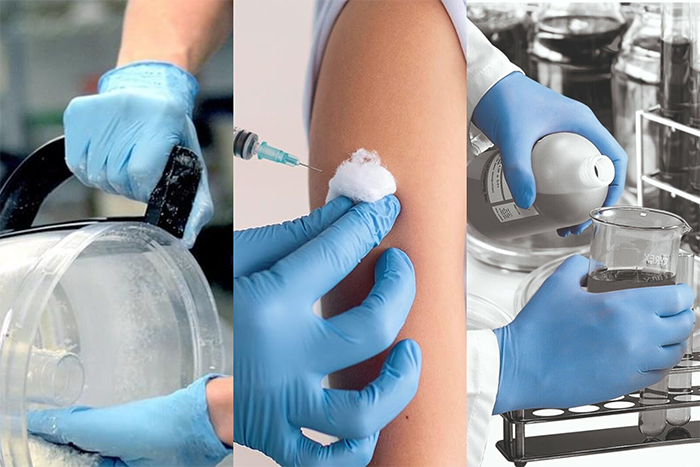 Một số ứng dụng phổ biến của găng tay cao su y tế không bột (Nguồn ảnh: Sưu tầm)