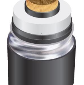 36/66(72.5)kV CU/XLPE /CAS/PE (or PVC,LSHF) 240 ~ 2000 MM2